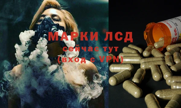 a pvp Беломорск