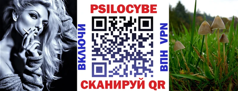 дарнет шоп  Вельск  Псилоцибиновые грибы Psilocybine cubensis 